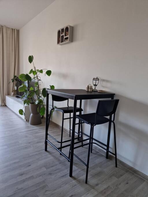 Apartman V Meste 브라티슬라바 외부 사진