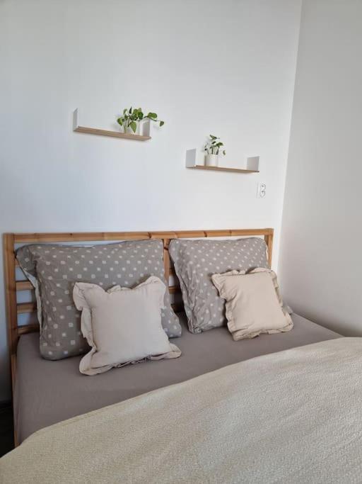Apartman V Meste 브라티슬라바 외부 사진